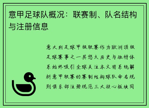 意甲足球队概况：联赛制、队名结构与注册信息